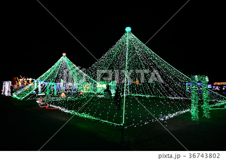 榛名湖イルミネーションフェスタ2017 36743802