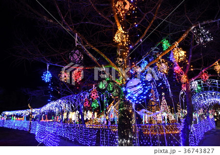 榛名湖イルミネーションフェスタ2017 36743827