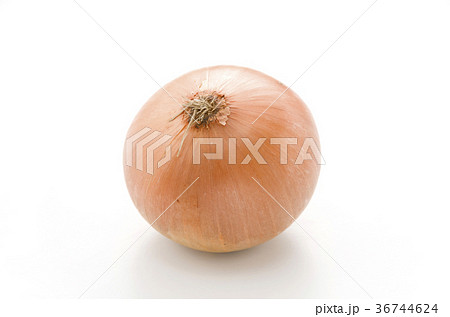 タマネギ 36744624
