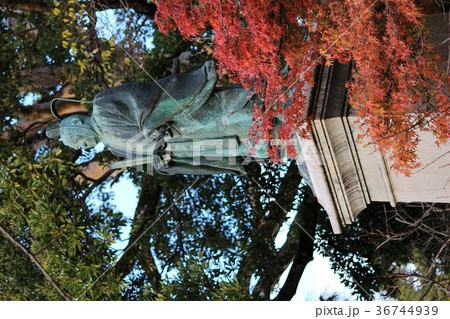 井伊直弼像 36744939