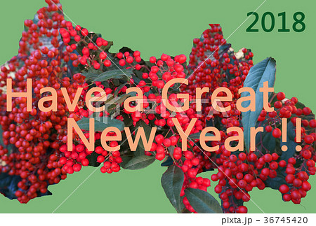 縁起物の南天(なんてん、ナンテン)のモチーフにしたシンプルSimpleな年賀状NewYearCard 縁起物の南天(なんてん、ナンテン)のモチーフにしたシンプルSimpleな年賀状NewYearCard 36745420