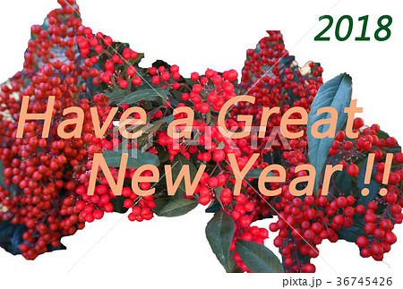 縁起物の南天（なんてん、ナンテン）のモチーフにしたシンプルSimpleな年賀状NewYearCard 36745426