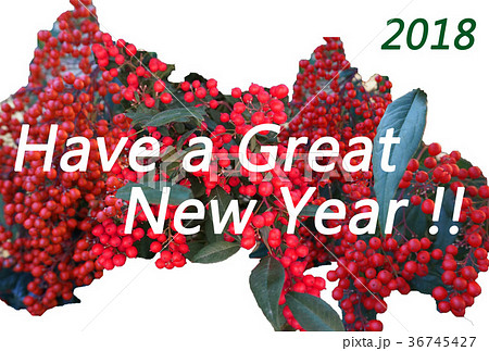 縁起物の南天(なんてん、ナンテン)のモチーフにしたシンプルSimpleな年賀状NewYearCard 縁起物の南天(なんてん、ナンテン)のモチーフにしたシンプルSimpleな年賀状NewYearCard 36745427