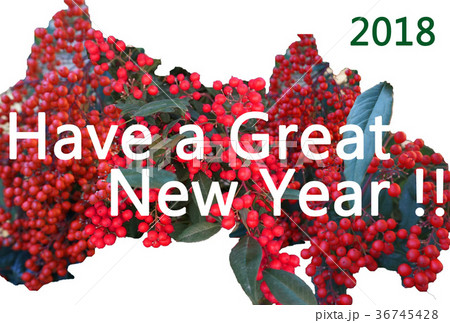 縁起物の南天（なんてん、ナンテン）のモチーフにしたシンプルSimpleな年賀状NewYearCard 36745428