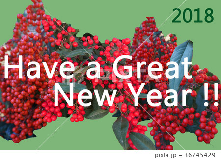縁起物の南天（なんてん、ナンテン）のモチーフにしたシンプルSimpleな年賀状NewYearCard 36745429