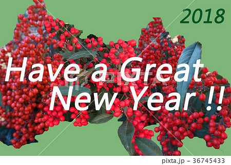 縁起物の南天（なんてん、ナンテン）のモチーフにしたシンプルSimpleな年賀状NewYearCard 36745433