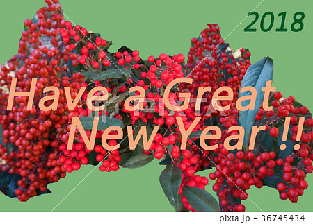縁起物の南天（なんてん、ナンテン）のモチーフにしたシンプルSimpleな年賀状NewYearCard 36745434