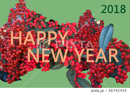 縁起物の南天（なんてん、ナンテン）のモチーフにしたシンプルSimpleな年賀状NewYearCard 36745435