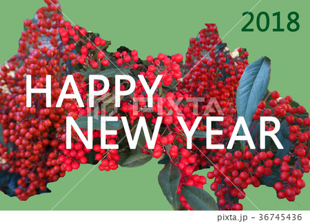 縁起物の南天（なんてん、ナンテン）のモチーフにしたシンプルSimpleな年賀状NewYearCard 36745436