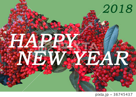 縁起物の南天（なんてん、ナンテン）のモチーフにしたシンプルSimpleな年賀状NewYearCard 36745437