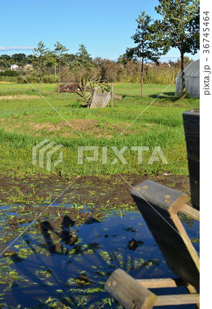 見沼田圃:加田屋新田の足漕ぎ水車 見沼田圃:加田屋新田の足漕ぎ水車 36745464