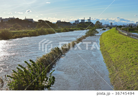 見沼田圃：芝川増水・台風一過 36745494