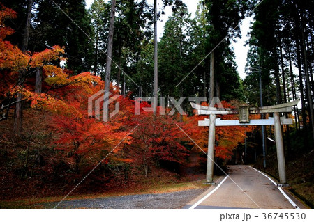 猿丸神社 猿丸神社 36745530