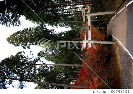 猿丸神社 猿丸神社 36745531