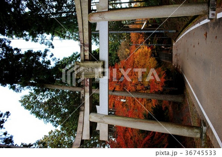 猿丸神社 36745533