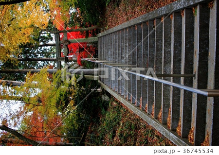 猿丸神社 猿丸神社 36745534