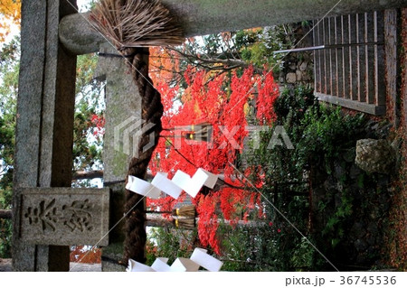 猿丸神社 猿丸神社 36745536