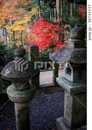猿丸神社 猿丸神社 36745537