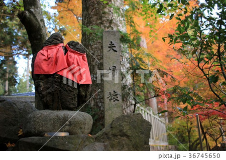 猿丸神社 猿丸神社 36745650
