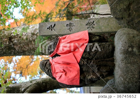 猿丸神社 猿丸神社 36745652