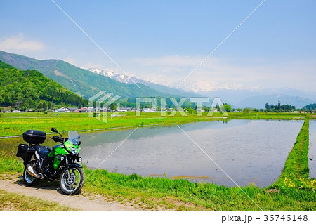 バイクツーリング （春） 36746148