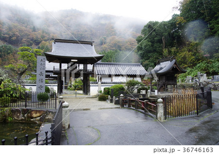 氷雨の中の美作長福寺三重塔 36746163