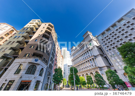 汐留西公園　イタリア街 36746479