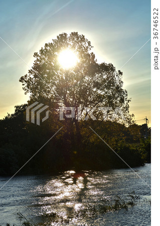 見沼田圃：芝川増水・台風一過 36746522