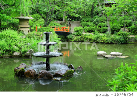 池と噴水_倉吉市打吹公園 池と噴水_倉吉市打吹公園 36746754