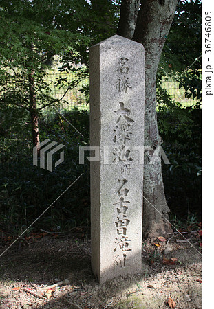 大覚寺大沢池名古曽滝 大覚寺大沢池名古曽滝 36746805