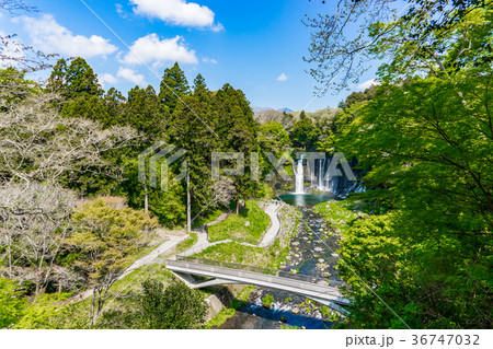 【静岡県】白糸の滝 36747032