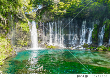 【静岡県】白糸の滝 36747368