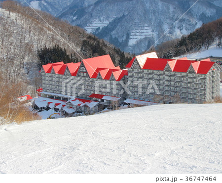 白馬コルチナ_グリーンプラザ_スキー_スノボ 36747464