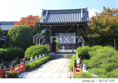 京都 妙満寺 京都 妙満寺 36747595