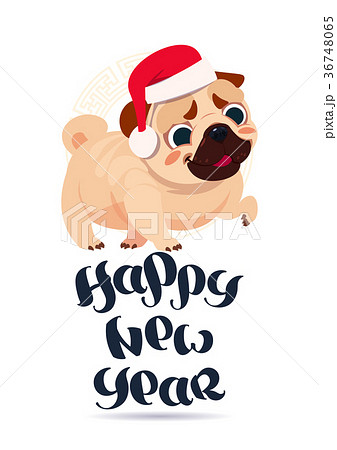 Pug Dog In Santa Hat On Happy New Year Greeting Pug Dog In Santa Hat On Happy New Year Greeting 36748065