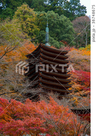 十三重塔 36748675