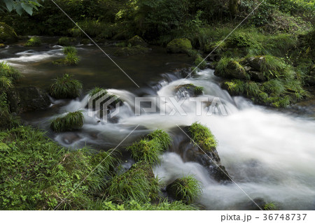荒俣峡の清冽な流れ 36748737