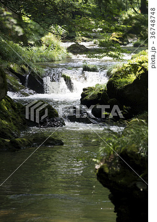 荒俣峡の清冽な流れ 荒俣峡の清冽な流れ 36748748