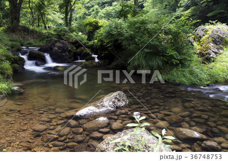 荒俣峡の清冽な流れ 36748753