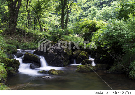 荒俣峡の清冽な流れ 36748755