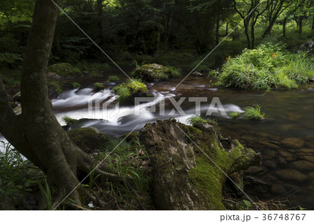 荒俣峡の清冽な流れ 36748767