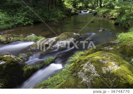 荒俣峡の清冽な流れ 36748770