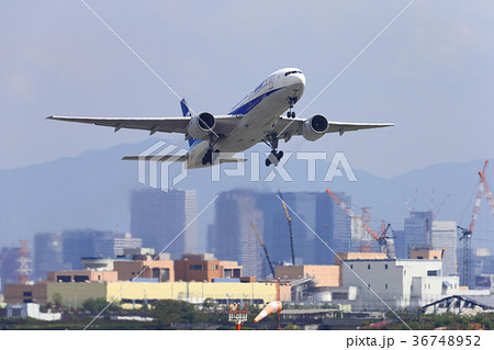 旅客機の離陸〜伊丹空港 旅客機の離陸〜伊丹空港 36748952