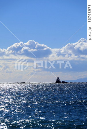 湘南イメージ 36748973