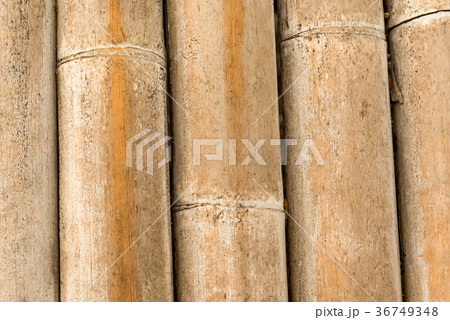 natural canvas background bamboo trunk light 36749348