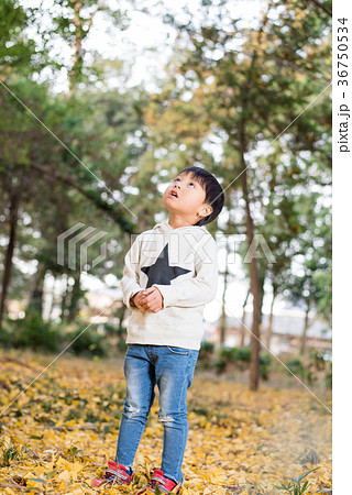 自然の中の男の子 自然の中の男の子 36750534