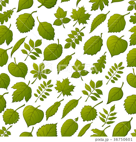 Leaves of Plants, Seamless 36750601