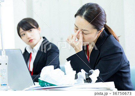 女性社員　OL　ビジネスマン　サラリーマン　パソコン　オフィスイメージ　ビジネスイメージ 36750673