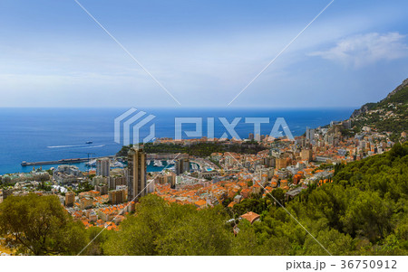 Panorama of Monaco Panorama of Monaco 36750912