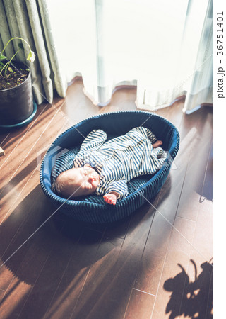 赤ちゃん 赤ちゃん 36751401